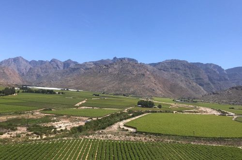 wine-land-south-africa